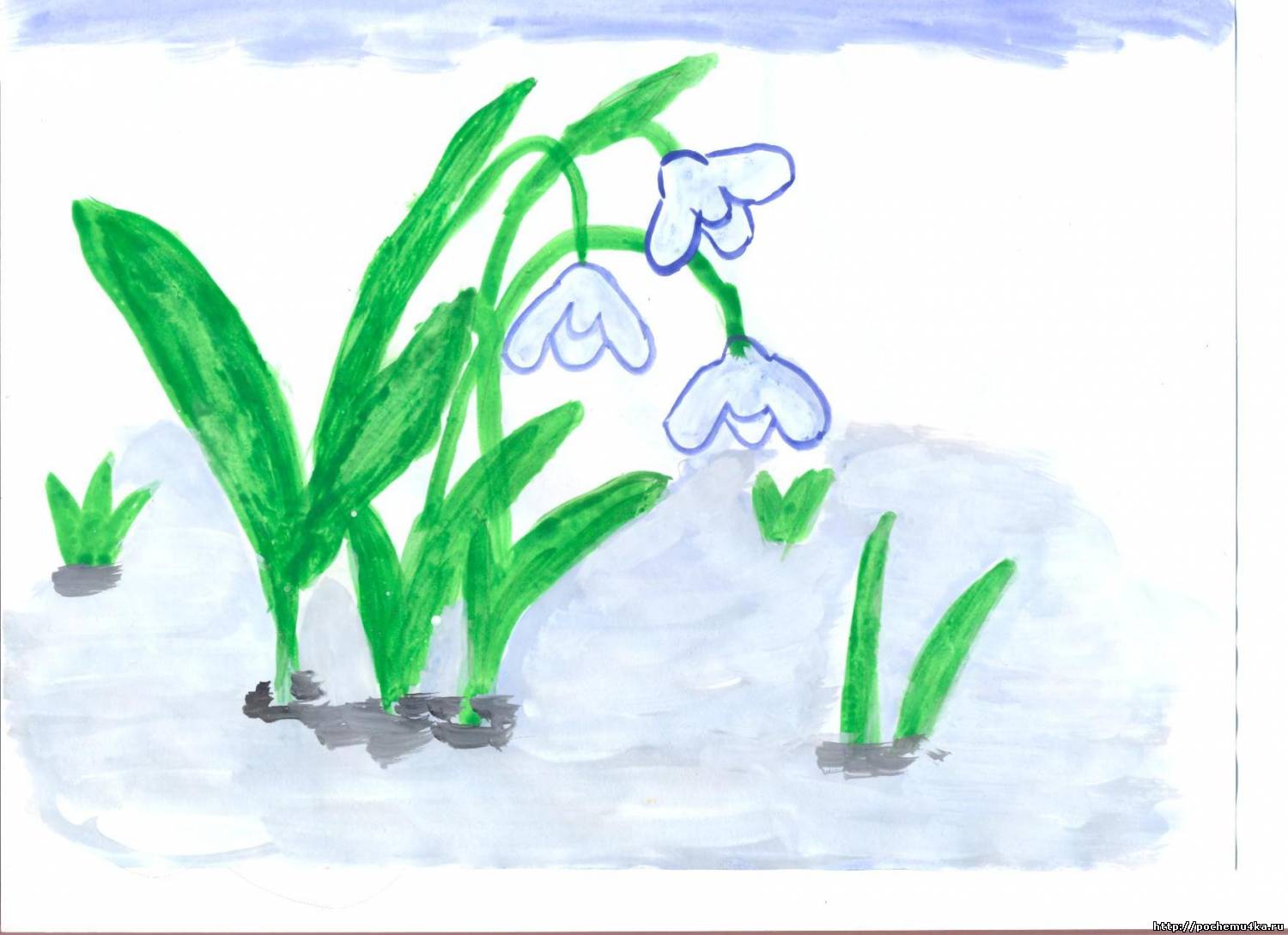 Нарисовать подснежник 1 класс. Первоцветы Подснежник рисование в старшей группе. Рисование с детьми подснежники. Рисование первоцветы старшая группа. Рисование первые весенние цветы.