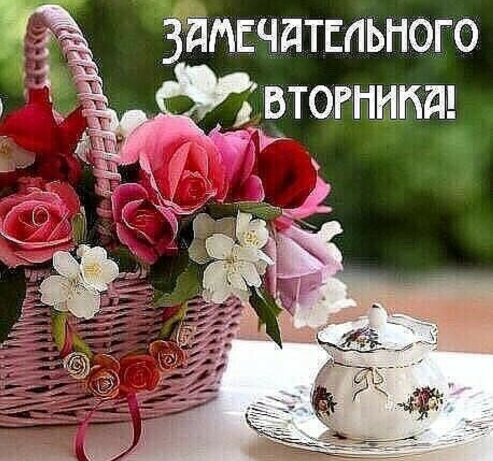 Пожелание доброго утра и хорошего вторника. Доброго и хорошего дня цветы. Утренние цветы с пожеланиями. Корзинки цветов с добрым утром. Хорошего дня и прекрасного настроения.