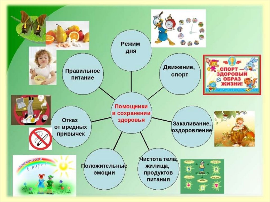 Картинки зож для детей дошкольного возраста в картинках